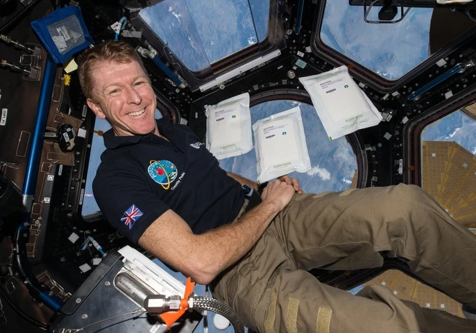 Major Tim Peake in the Space Station