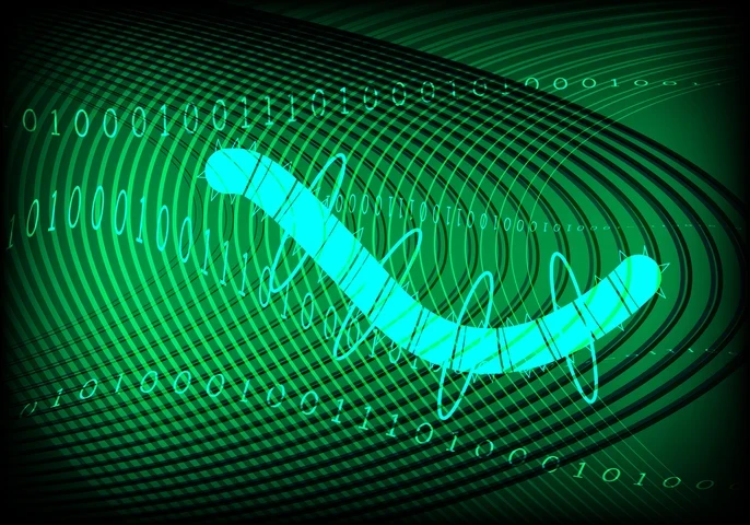 what is a computer worm