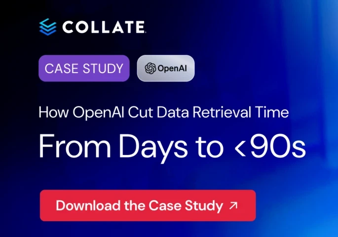 open ai case study