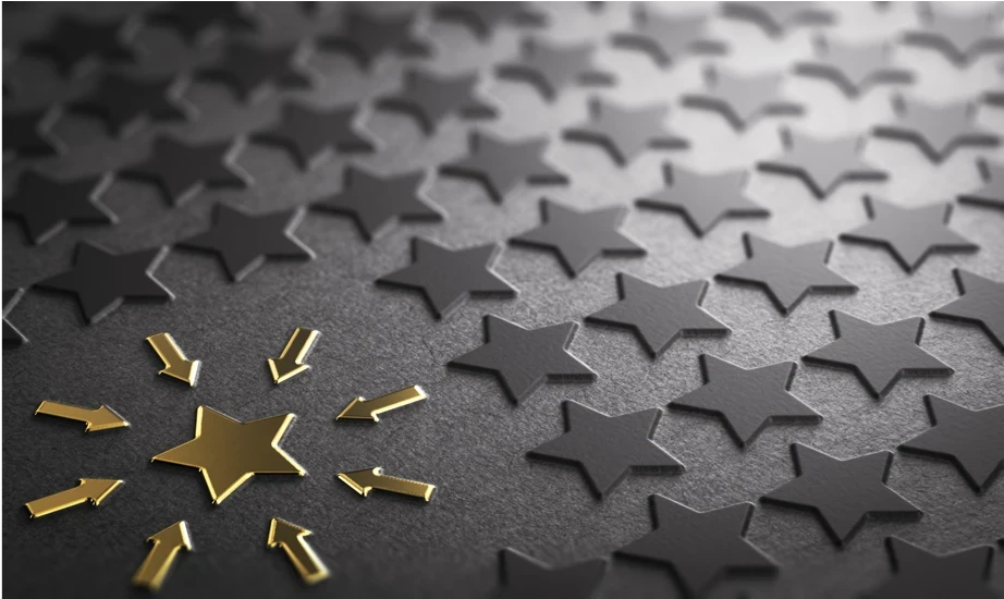 Principle Networks: Case Studies