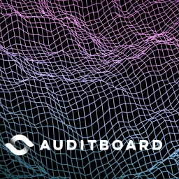 auditboard digital risk report