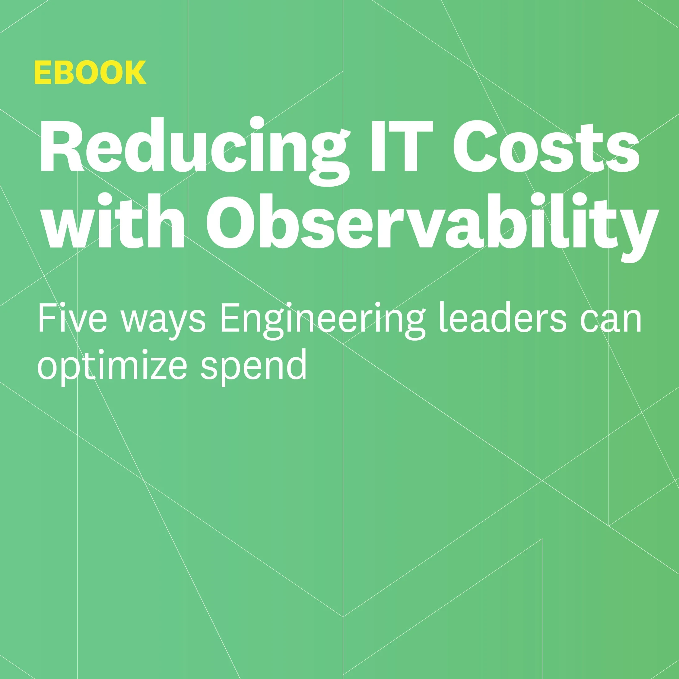 Cover image for datadog whitepaper about reducing IT costs with observability