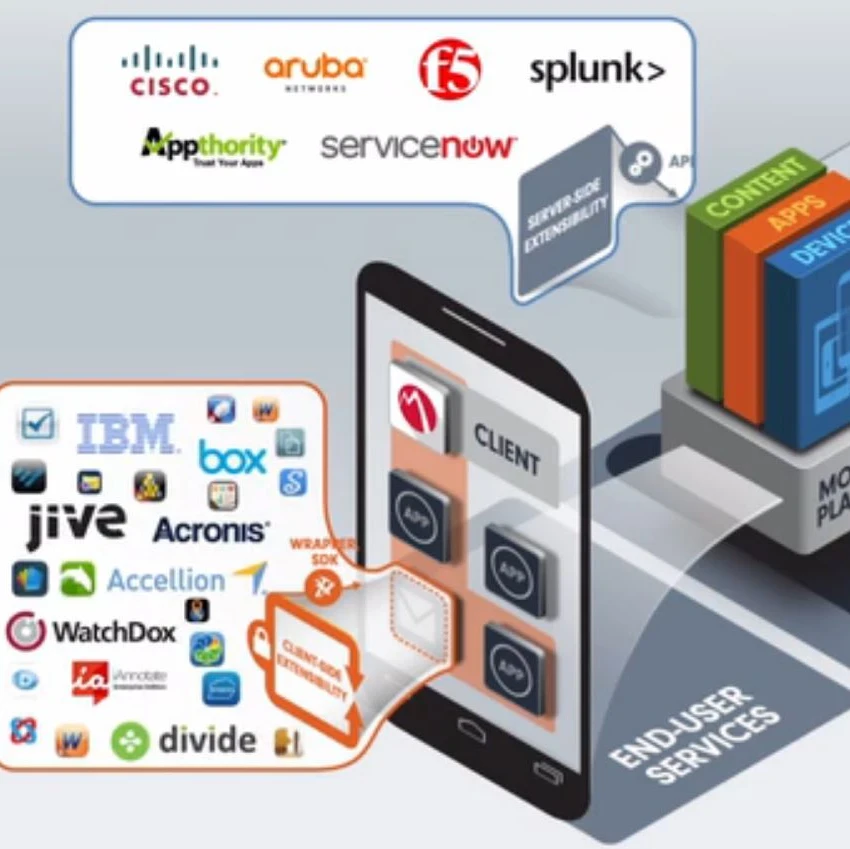 MobileIron platform visualisation.